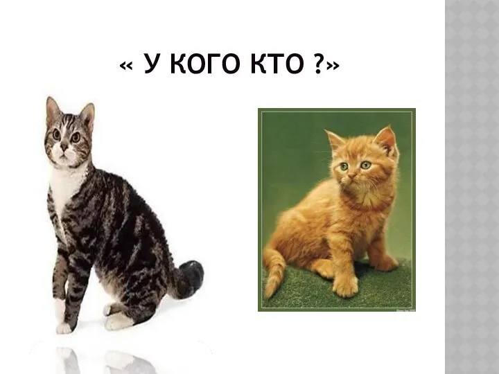 « У КОГО КТО ?»