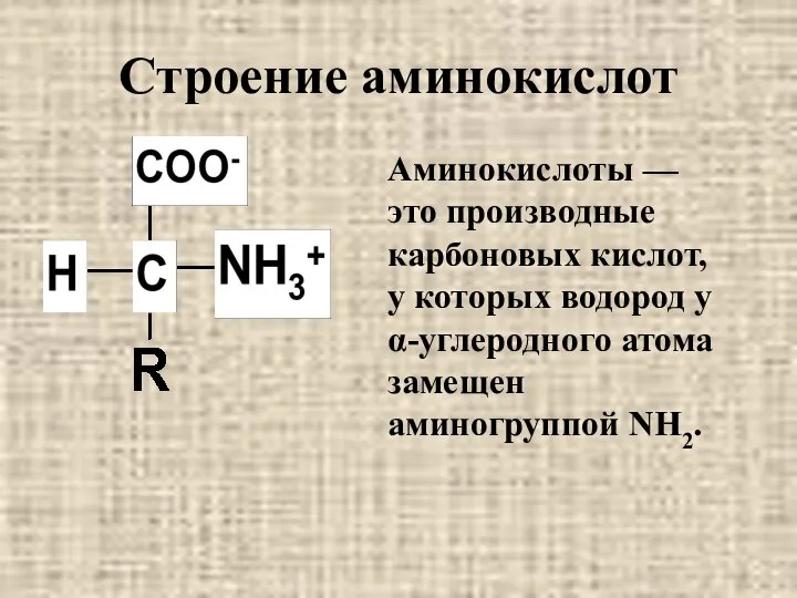 Строение аминокислот Аминокислоты — это производные карбоновых кислот, у которых водород