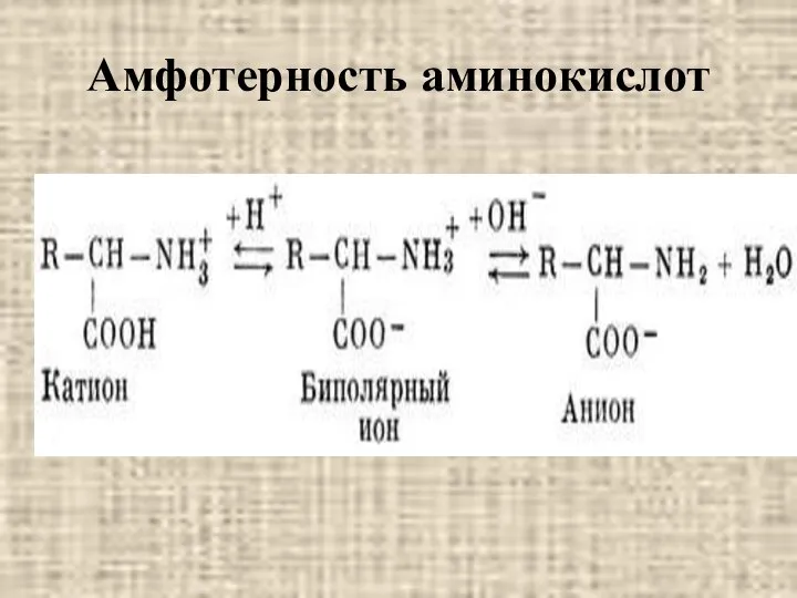 Амфотерность аминокислот