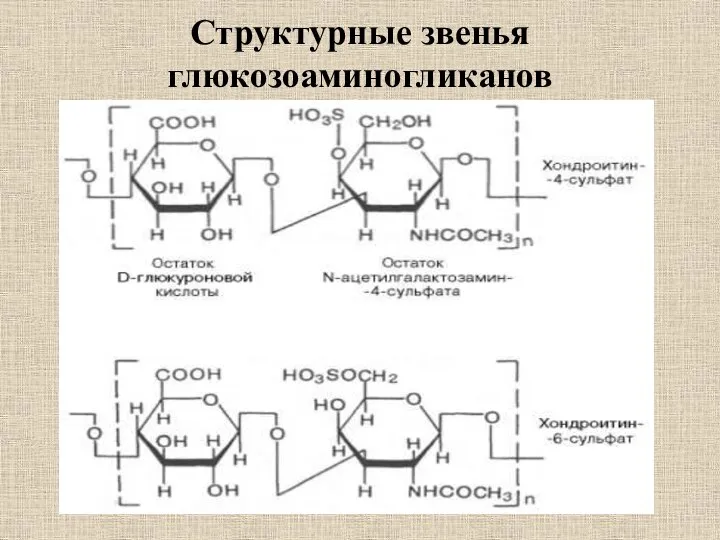 Структурные звенья глюкозоаминогликанов