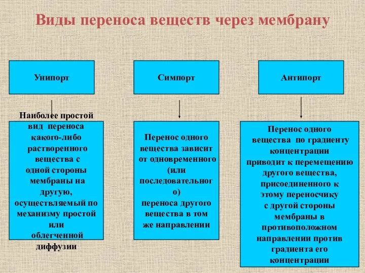 Виды переноса веществ через мембрану Унипорт Наиболее простой вид переноса какого-либо