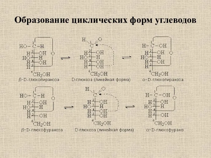 Образование циклических форм углеводов