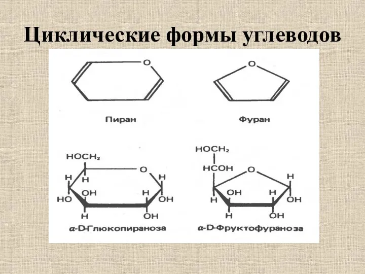 Циклические формы углеводов