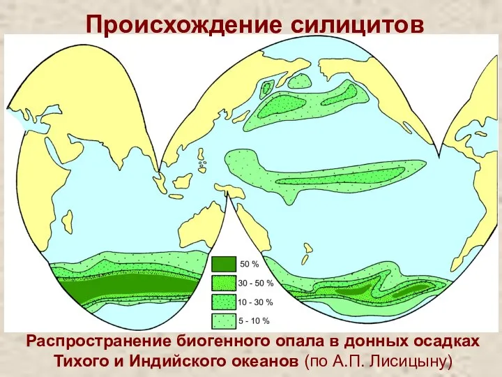 Основная часть кремнистых зерен поступает на дно океана после гибели радиолярий