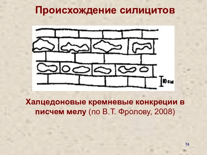 Происхождение силицитов Халцедоновые кремневые конкреции в писчем мелу (по В.Т. Фролову, 2008)