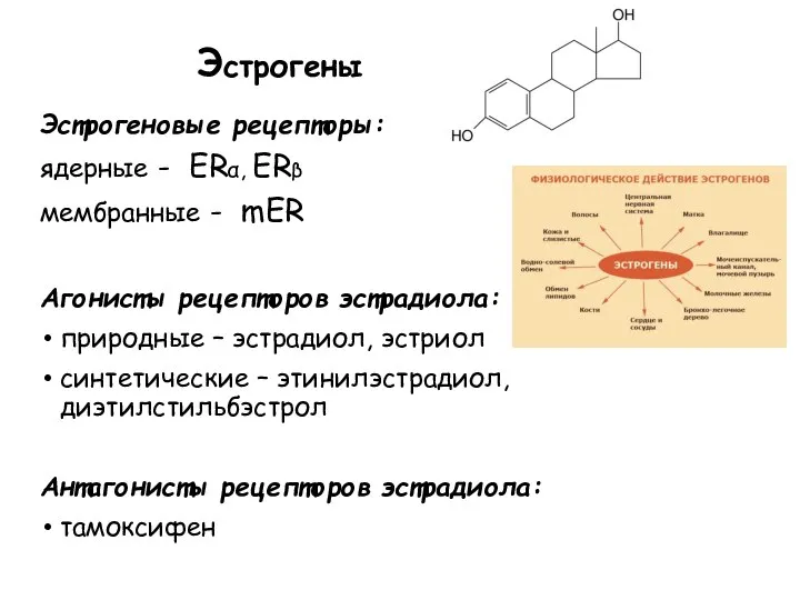 Эстрогены Эстрогеновые рецепторы: ядерные - ERα, ERβ мембранные - mER Агонисты