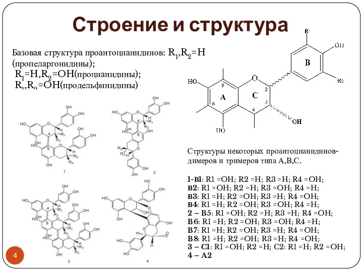 Строение и структура Базовая структура проантоцианидинов: R1,R2=H (пропеларгонидины); R1=H,R2=OH(процианидины); R1,R2=OH(продельфинидины) Структуры