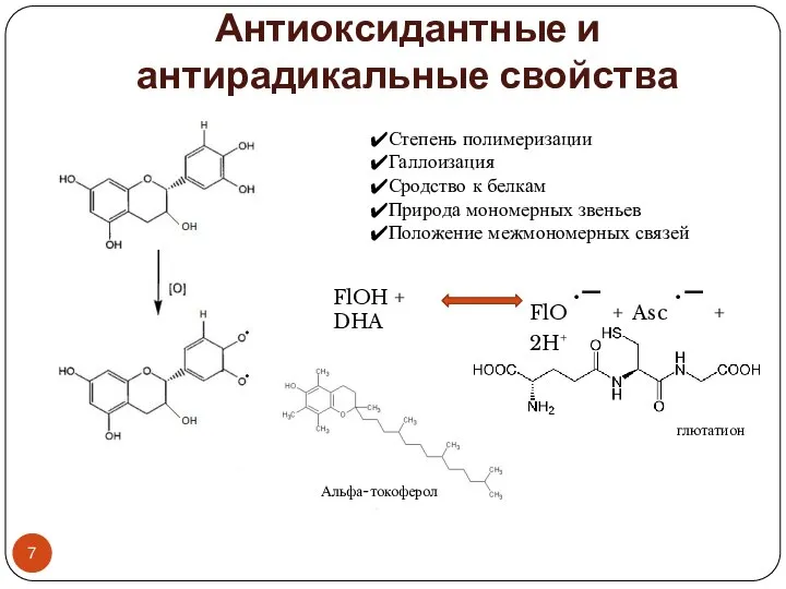 Антиоксидантные и антирадикальные свойства Степень полимеризации Галлоизация Сродство к белкам Природа