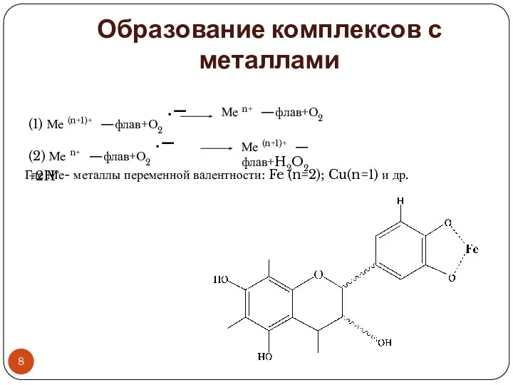 Образование комплексов с металлами (1) Ме (n+1)+ —флав+О2 ·– Ме n+