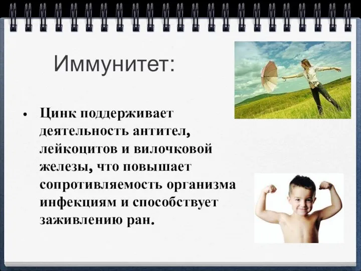 Иммунитет: Цинк поддерживает деятельность антител, лейкоцитов и вилочковой железы, что повышает