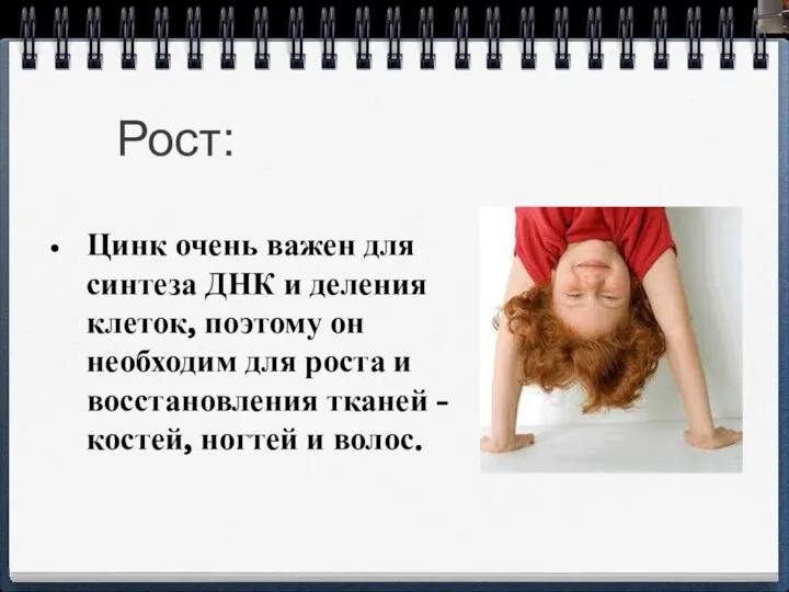 Рост: Цинк очень важен для синтеза ДНК и деления клеток, поэтому