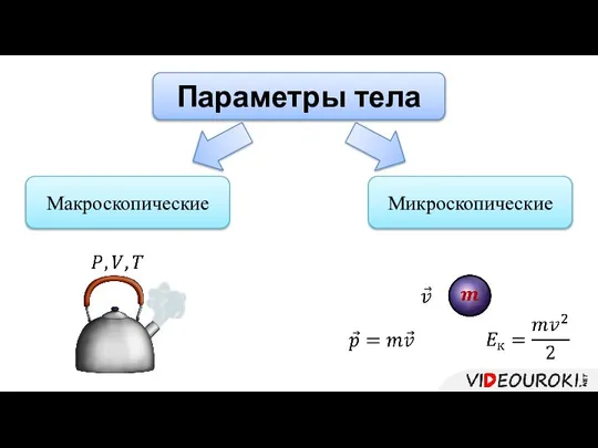 Параметры тела Макроскопические Микроскопические