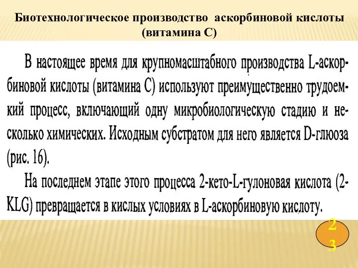 23 Биотехнологическое производство аскорбиновой кислоты (витамина С)