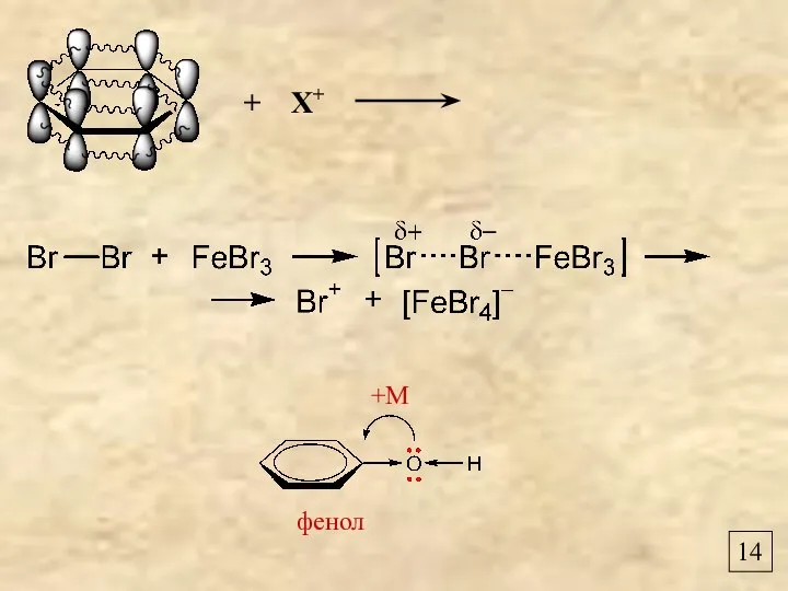 14 +М фенол + Х+