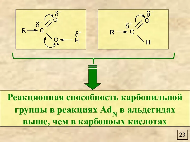 23 Реакционная способность карбонильной группы в реакциях AdN в альдегидах выше, чем в карбоноых кислотах