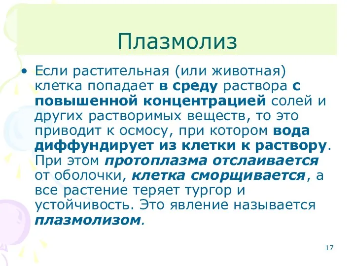 Плазмолиз Если растительная (или животная) клетка попадает в среду раствора с