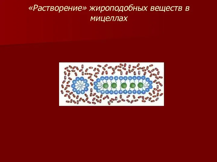 «Растворение» жироподобных веществ в мицеллах