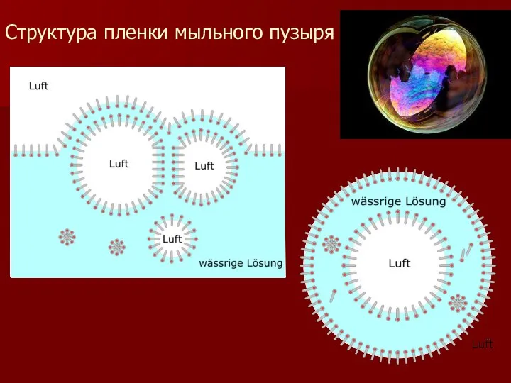 Структура пленки мыльного пузыря