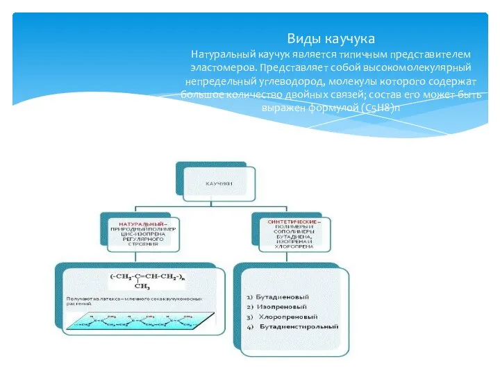 Виды каучука Натуральный каучук является типичным представителем эластомеров. Представляет собой высокомолекулярный