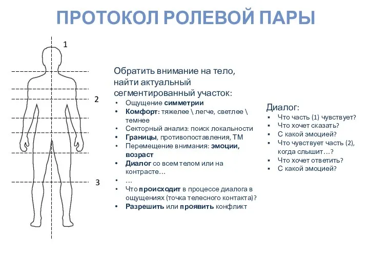 ПРОТОКОЛ РОЛЕВОЙ ПАРЫ Обратить внимание на тело, найти актуальный сегментированный участок: