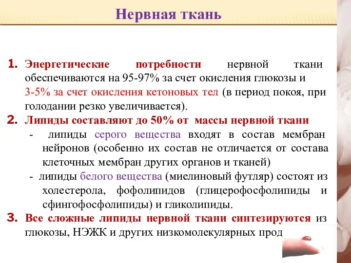 Нервная ткань Энергетические потребности нервной ткани обеспечиваются на 95-97% за счет