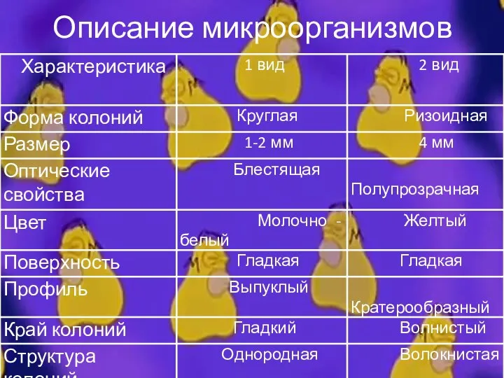 Описание микроорганизмов