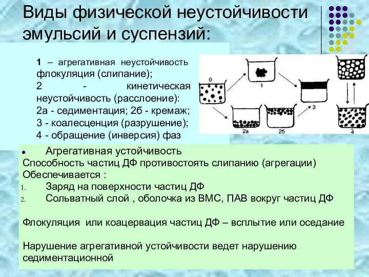 Виды физической неустойчивости эмульсий и суспензий: 1 – агрегативная неустойчивость флокуляция