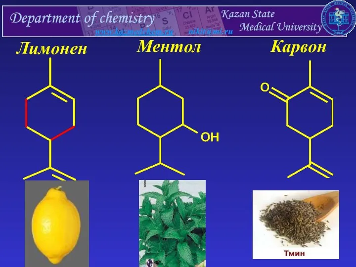 www.kazmedchem.ru nikit@mi.ru Лимонен Ментол Карвон