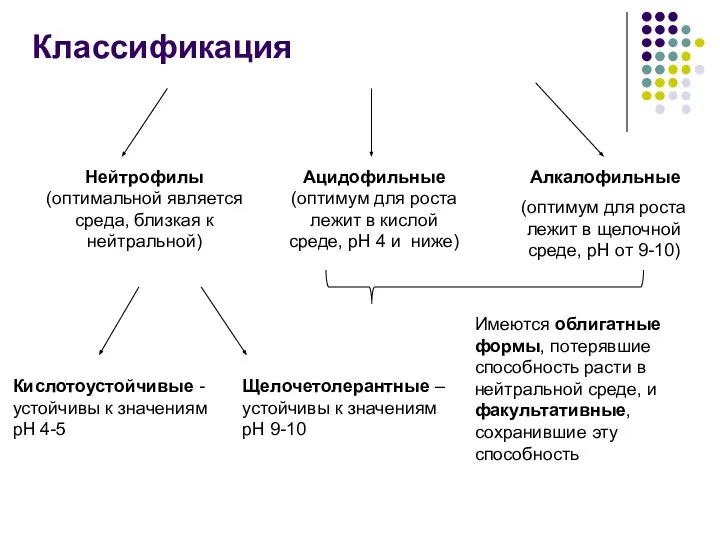 Кислотоустойчивые - устойчивы к значениям рН 4-5 Щелочетолерантные – устойчивы к