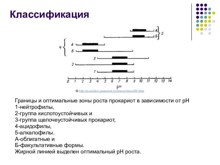 Границы и оптимальные зоны роста прокариот в зависимости от рН 1-нейтрофилы,