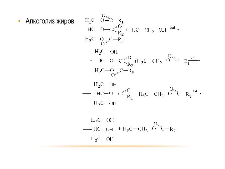 Алкоголиз жиров.