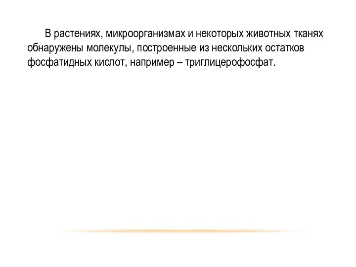 В растениях, микроорганизмах и некоторых животных тканях обнаружены молекулы, построенные из