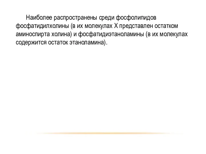 Наиболее распространены среди фосфолипидов фосфатидилхолины (в их молекулах X представлен остатком