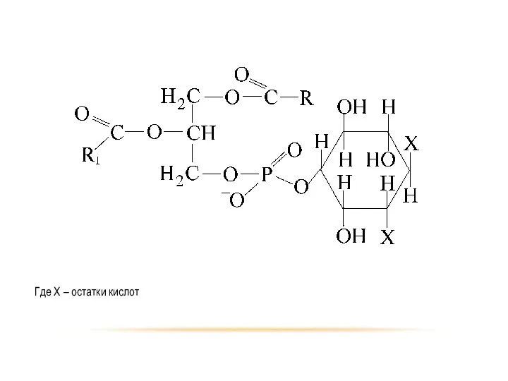 Где Х – остатки кислот