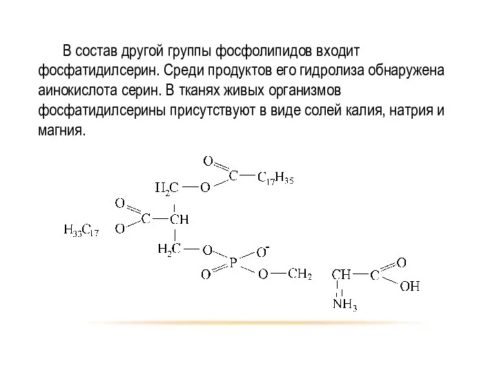 В состав другой группы фосфолипидов входит фосфатидилсерин. Среди продуктов его гидролиза