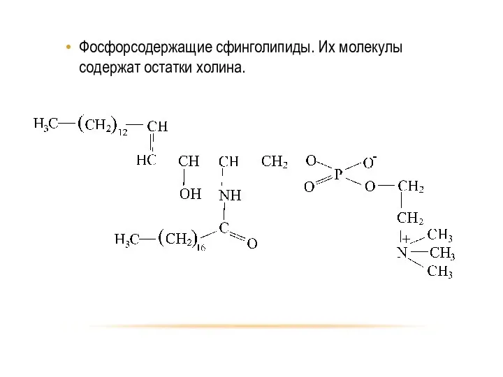 Фосфорсодержащие сфинголипиды. Их молекулы содержат остатки холина.