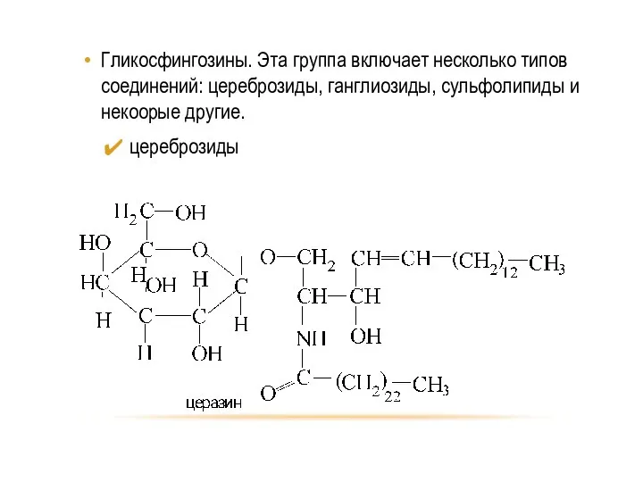 Гликосфингозины. Эта группа включает несколько типов соединений: цереброзиды, ганглиозиды, сульфолипиды и некоорые другие. цереброзиды