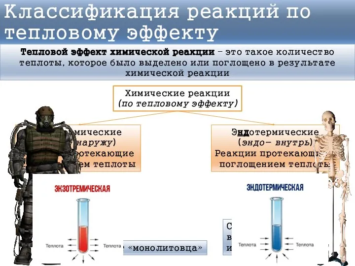 Скелет человека – внутренний скелет или эндоскелет Классификация реакций по тепловому