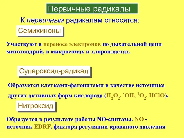 Первичные радикалы К первичным радикалам относятся: Участвуют в переносе электронов по