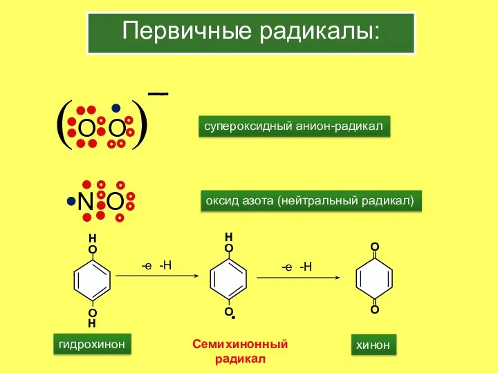 Первичные радикалы: O N супероксидный анион-радикал оксид азота (нейтральный радикал)