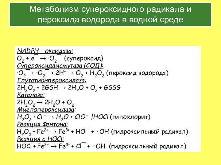 Метаболизм супероксидного радикала и пероксида водорода в водной среде NADPH –