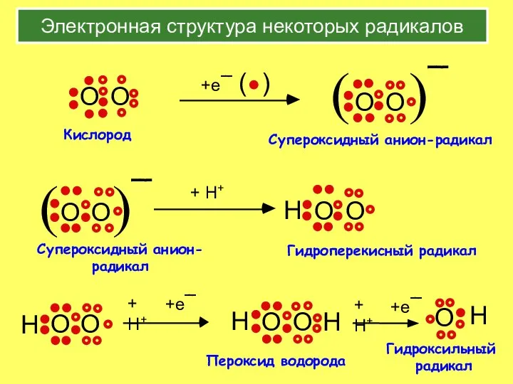 Электронная структура некоторых радикалов Гидроперекисный радикал Кислород Супероксидный анион-радикал +e¯ (