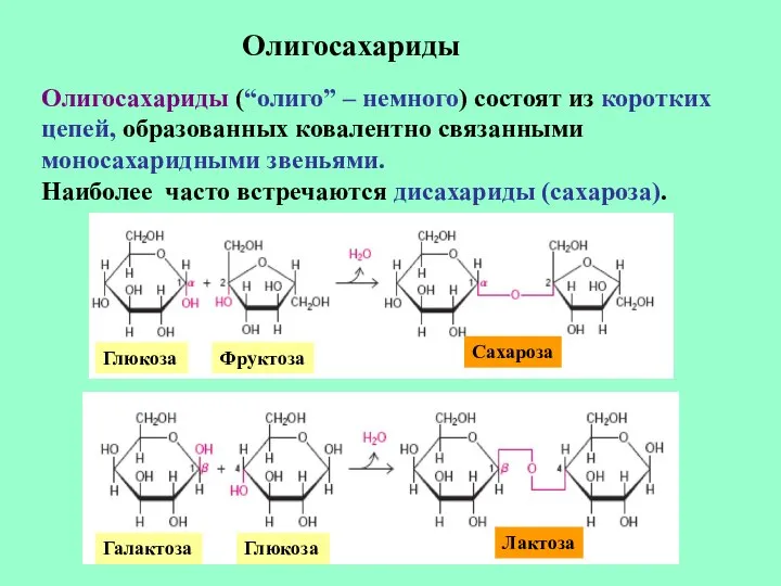 Олигосахариды Олигосахариды (“олиго” – немного) состоят из коротких цепей, образованных ковалентно