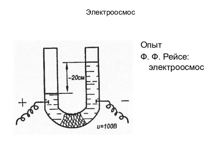 Электроосмос Опыт Ф. Ф. Рейсе: электроосмос