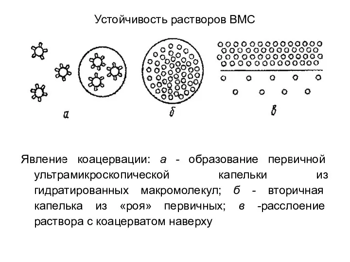 Устойчивость растворов ВМС Явление коацервации: а - образование первичной ультрамикроскопической капельки