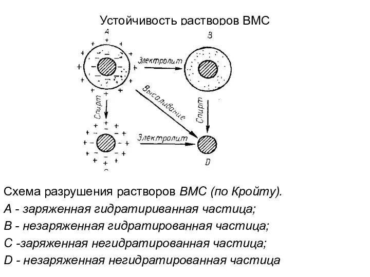 Устойчивость растворов ВМС Схема разрушения растворов ВМС (по Кройту). А -