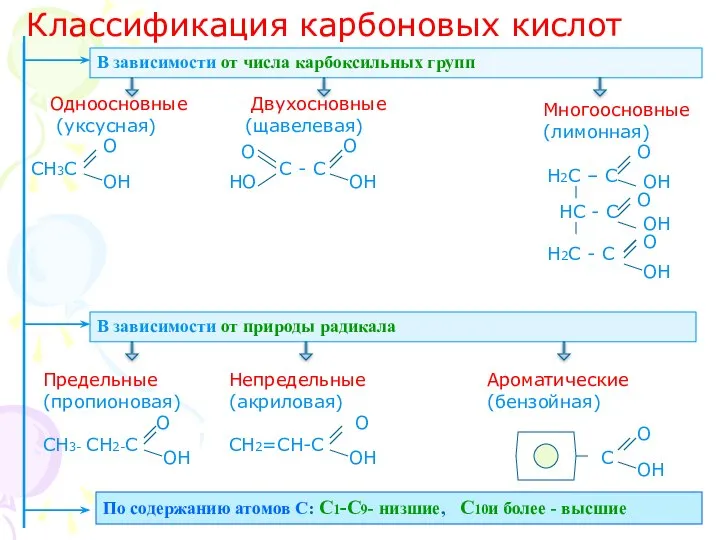 Классификация карбоновых кислот В зависимости от числа карбоксильных групп Одноосновные Двухосновные