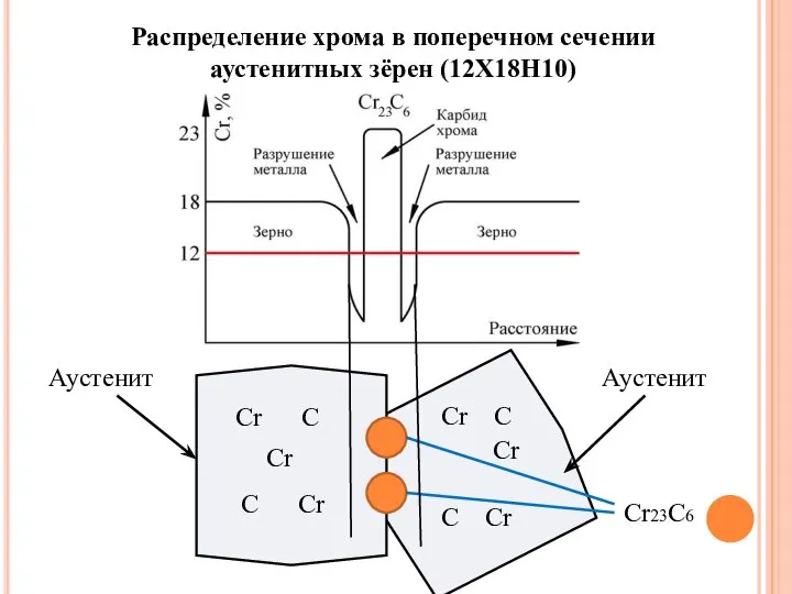 Распределение хрома в поперечном сечении аустенитных зёрен (12Х18Н10) Аустенит Аустенит Cr