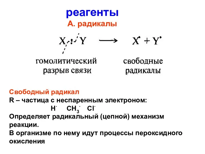 реагенты А. радикалы Свободный радикал R – частица с неспаренным электроном: