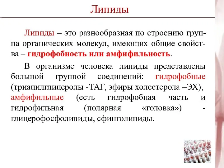 Липиды Липиды – это разнообразная по строению груп-па органических молекул, имеющих